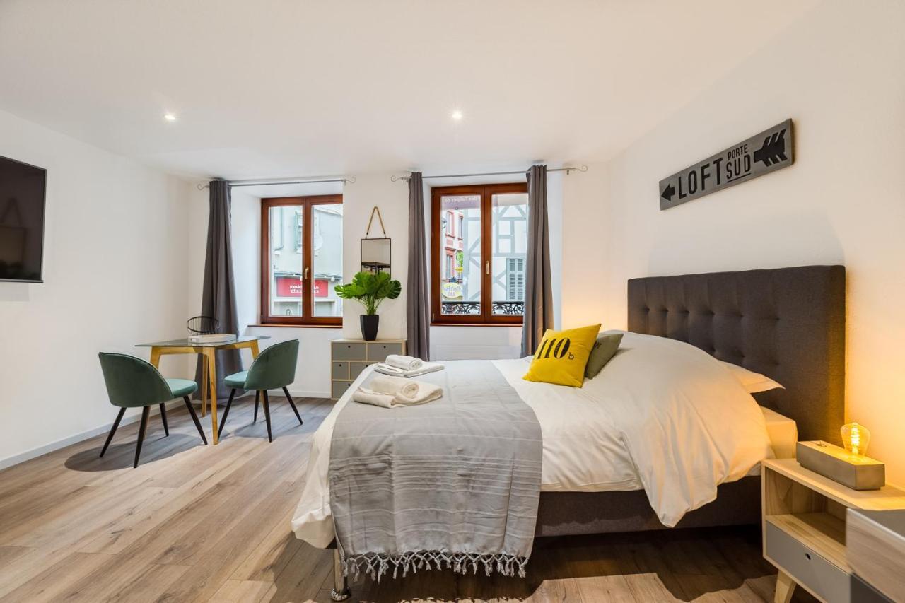 Travel Homes - L'Arsenal, Studios En Hyper Centre Mulhouse Luaran gambar