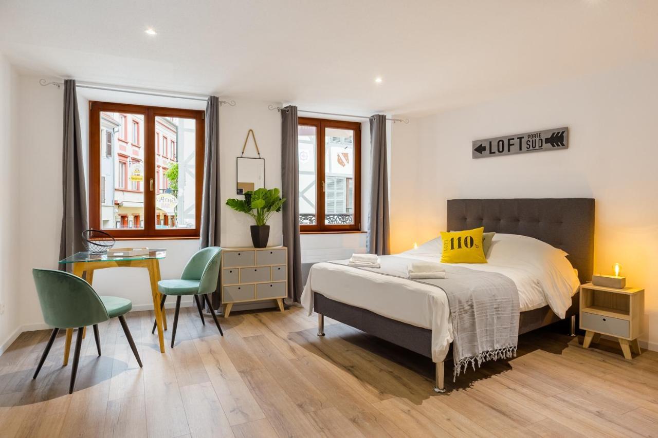 Travel Homes - L'Arsenal, Studios En Hyper Centre Mulhouse Luaran gambar